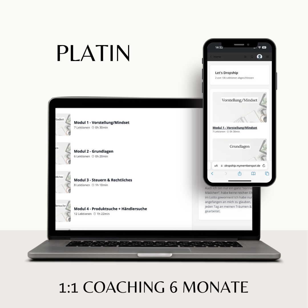 Let's Dropship PLATIN - 1:1 Coaching 6 Monate