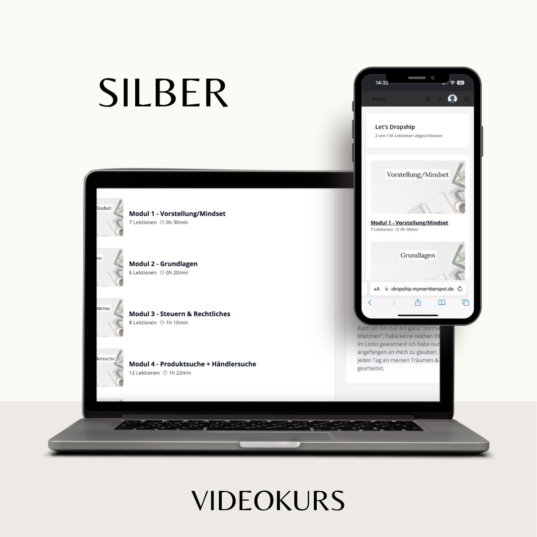 Let's Dropship SILBER - Videokurs